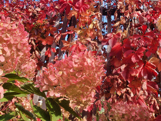 Similar image 22345746