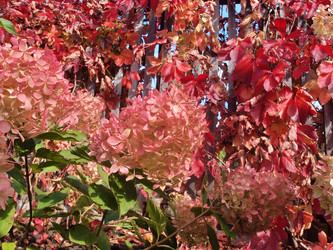 Similar image 22345748