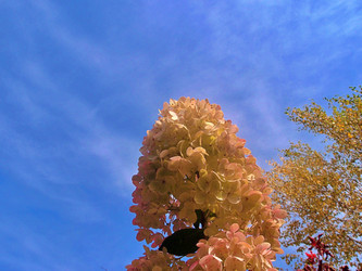 Similar image 22345750