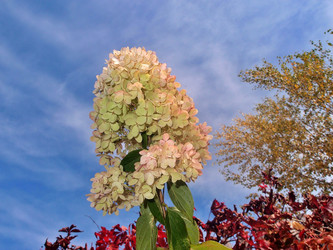 Similar image 22345751