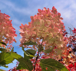 Similar image 22345753