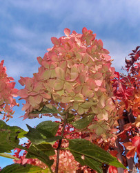 Similar image 22345755