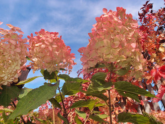 Similar image 22345759