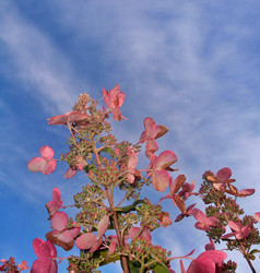 Similar image 22345761