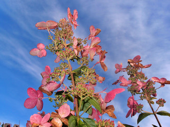 Similar image 22345763