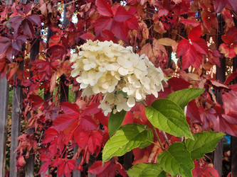 Similar image 22345765