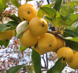 Similar image 22345769