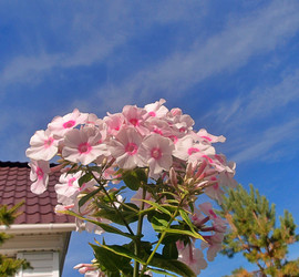 Similar image 22345771