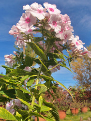 Similar image 22345773