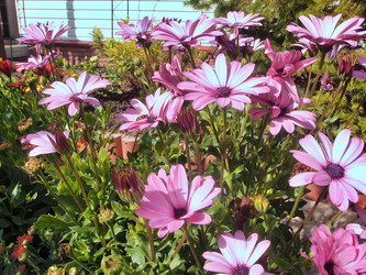 Similar image 22345775