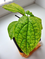 Similar image 22345781