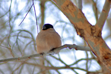 Similar image 22345791