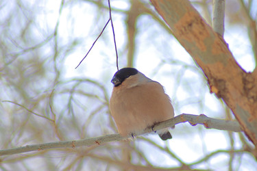 Similar image 22345793