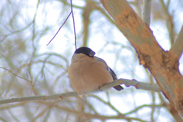 Similar image 22345795