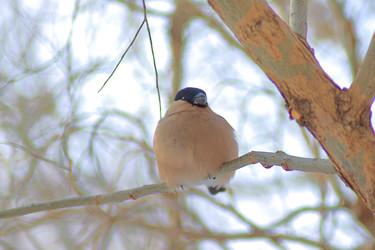 Similar image 22345797