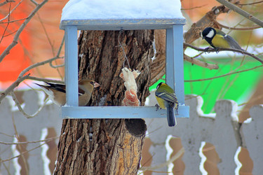 Similar image 22345799