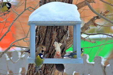 Similar image 22345801