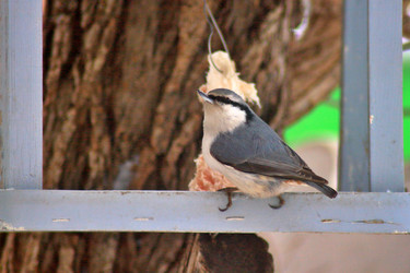 Similar image 22345805