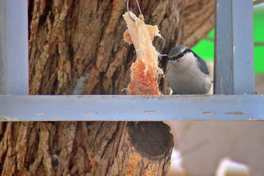 Similar image 22345807