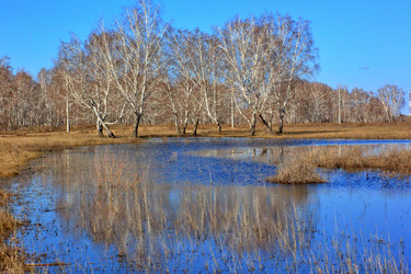 Similar image 22345813