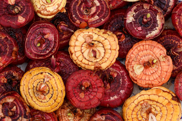 Similar image 22344335