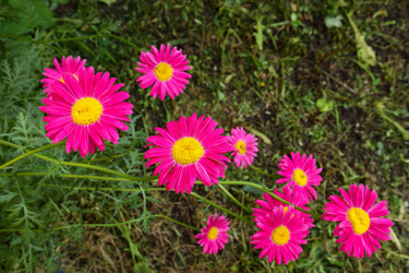 Similar image 22344337