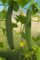 Similar image 22344339