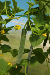 Similar image 22344341