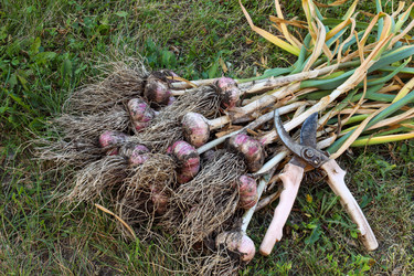 Similar image 22344346