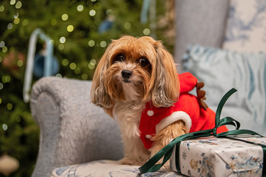 Similar image 22345964