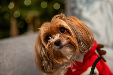 Similar image 22345966