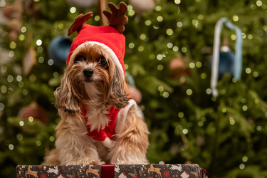 Similar image 22345968