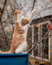 Similar image 22348088