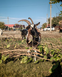 Similar image 22348104