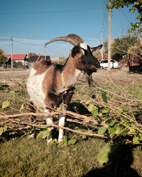 Similar image 22348105