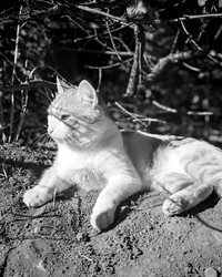 Similar image 22348107