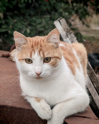 Similar image 22348109