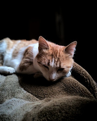 Similar image 22348110