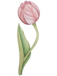 Similar image 22347454