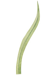 Similar image 22347473