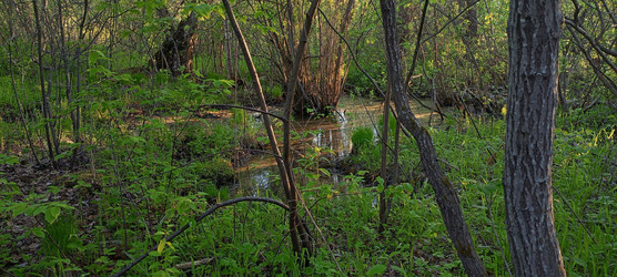 Similar image 22341953