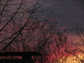 Similar image 22341954