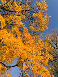 Similar image 22348080