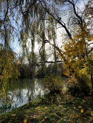 Similar image 22348082