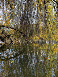 Similar image 22348086