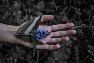 Similar image 22341970