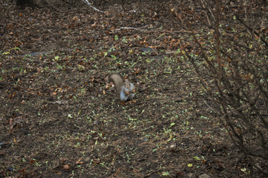 Similar image 22341972