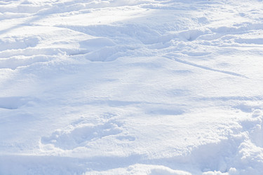 Similar image 22342076