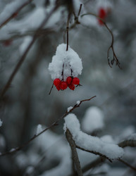 Similar image 22344449