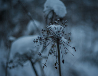 Similar image 22344451